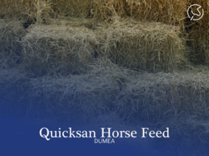 Quickscan Horse Feed